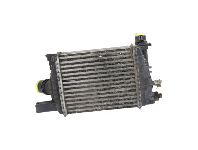 Intercooler - Renault CLIO ESTATE IV PH.1 - 144961381R - F1-5797M