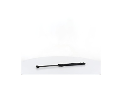 Verins capot - Jaguar F-PACE PH.1 - Gris Clair - T4A1162 - B1-0569W