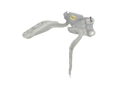 Hood hinges - Renault TWINGO II PH.1 - Vert Clair - 8200343122 - E2-5405Y