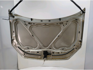 Hood (Bonnet) - Volkswagen POLO IV PH.2 - Gris Clair - 6Q0823031J - Q1-5826M
