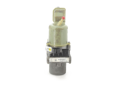 Power steering pump - Renault LAGUNA III PH.2 - 491102118R - U0-9124W