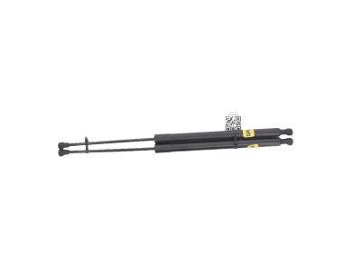 Paire verins coffre hayon malle - Renault SCENIC III PH.1 - Marron Fonce - 904500004R - B1-6098C
