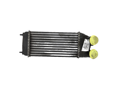 Intercooler - Citroen C3 PICASSO PH.1 - 9803900780 - Z1-5199N
