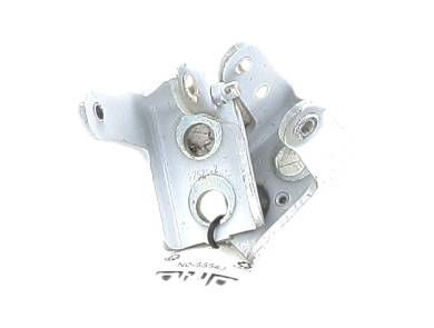 Door hinge front left