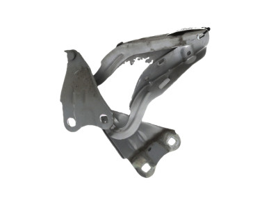 Charnières de capot - Renault TWINGO II PH.1 - Gris Clair - 8200343122 - W1-5417F