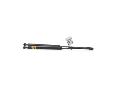 Paire verins coffre hayon malle - Renault CLIO II PH.2 - Gris Fonce - 7700842256 - V1-5125B
