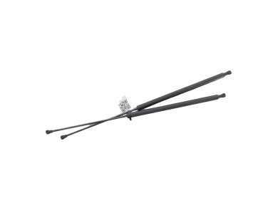 Trunk gas spring (x2) - Citroen XSARA PICASSO - Rouge Fonce - 00008731N2 - E1-8521K