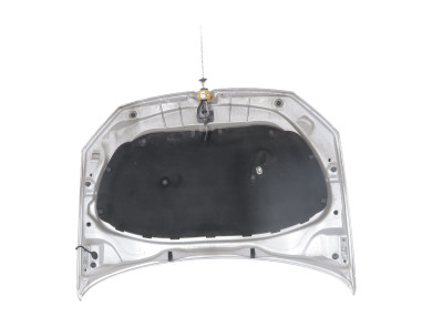 Hood (Bonnet) - Volkswagen POLO V PH.1 - 6R0823031G - F1-8347W