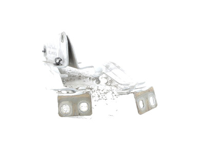 Charnières de capot - Renault KANGOO II PH.2 - Blanc - 654013136R - P1-3553W