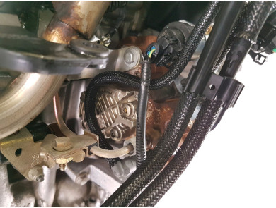 Engine type G8DA - Ford FOCUS II PH.1 - R1-7054W