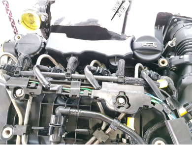 Engine type G8DA - Ford FOCUS II PH.1 - R1-7054W