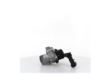 Power steering pump - Peugeot PARTNER II PH.3 - 1616384180 - T1-2727V