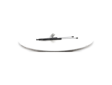 Paire verins coffre hayon malle - Renault CLIO III PH.1 - Gris Clair - 8200299546 - I1-7124G