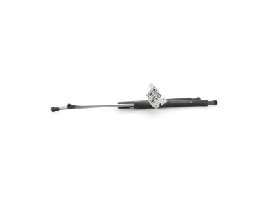 Paire verins coffre hayon malle - Renault CLIO III PH.1 - Gris Clair - 8200299546 - I1-7124G