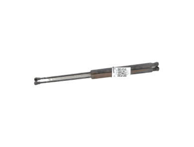 Trunk gas spring (x2) - Peugeot 207 - Bleu Clair - 8731L7 - J1-6917H