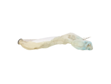 Bocal lave glace - Mini MINI II PH.1 - 61667368642 - A1-0954H