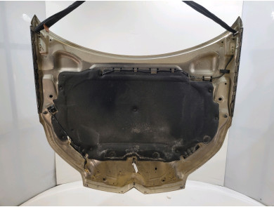 Hood (Bonnet) - Citroen C5 II - Beige Clair - 00007901P3 - E1-9508U