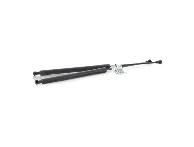 Trunk gas spring (x2) - Renault SCENIC III PH.1 - Noir - 904500004R - P1-5516L