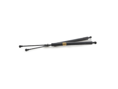 Paire verins coffre hayon malle - Renault SCENIC III PH.1 - Noir - 904500004R - P1-5516L