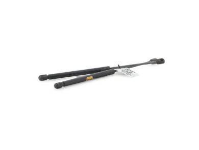Paire verins coffre hayon malle - Renault CLIO II PH.2 - Gris Clair - 7700842256 - M1-5379S