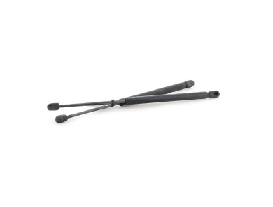 Paire verins coffre hayon malle - Renault CLIO II PH.2 - Gris Clair - 7700842256 - M1-5379S