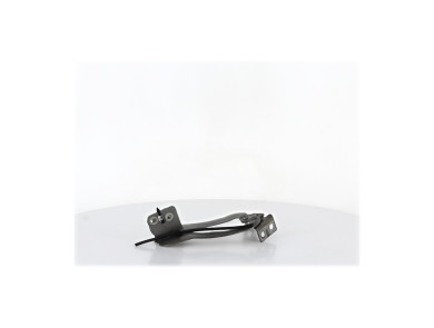 Hood hinges - Renault KANGOO II PH.1 - Gris Clair - 8200386303 - E1-4087X