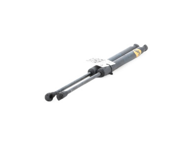 Verins capot - BMW SERIE 3 TOURING V PH.2 - Marron Clair - 51237060550 - H1-6570X