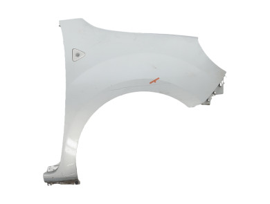Right front fender - Renault KANGOO II PH.1 - Gris Clair - 631009162R - Z1-1793F