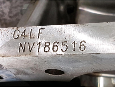 Engine type G4LF - Hyundai BAYON - F0-8017R