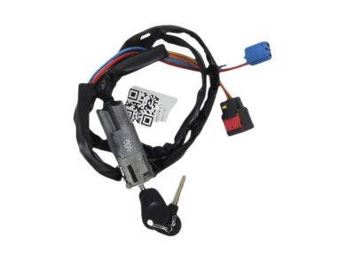 Steering lock - Citroen BERLINGO I PH.1 - 4162AN - L1-8934H