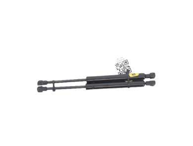 Hood hinges used - Renault LATITUDE - 654010010R