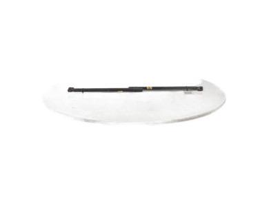 Trunk gas spring (x2) - Renault MEGANE COUPE III PH.1 - Inconnu - 904510002R - Y0-6229T