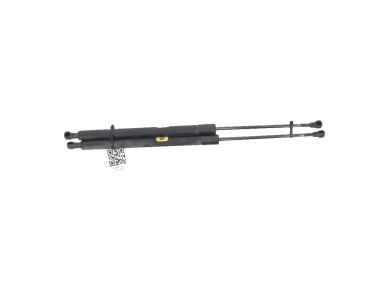Paire verins coffre hayon malle - Renault SCENIC III PH.1 - Noir - 904500004R - V1-2388T