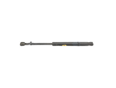 Paire verins coffre hayon malle - Renault MEGANE II PH.2 - Beige Clair - 8200051750 - H1-8787Q