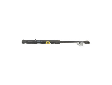 Paire verins coffre hayon malle - Renault MEGANE II PH.2 - Beige Clair - 8200051750 - H1-8787Q