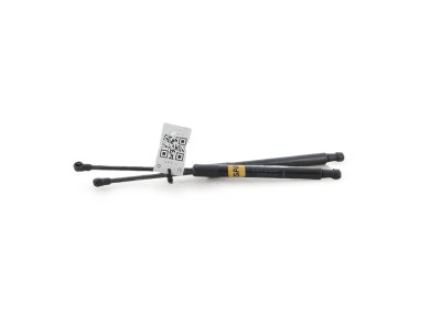 Paire verins coffre hayon malle - Renault TWINGO II PH.1 - Gris Clair - 8200385560 - Y1-4383U