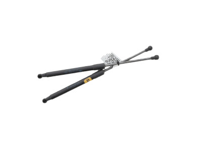 Paire verins coffre hayon malle - Renault TWINGO II PH.2 - Rouge Fonce - 8200385560 - M1-4273K