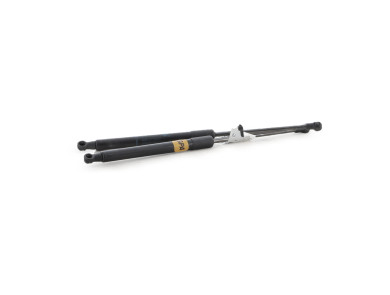 Trunk gas spring (x2) - Renault TWINGO II PH.2 - Rouge Fonce - 8200385560 - M1-4273K