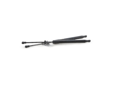 Paire verins coffre hayon malle - Renault TWINGO II PH.2 - Rouge Fonce - 8200385560 - M1-4273K