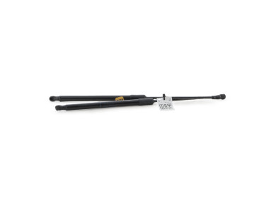 Paire verins coffre hayon malle - Renault CLIO V PH.1 - Noir - 904508213R - Q1-3860X