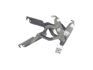 Hood hinges