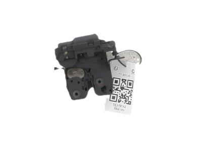 Rear lid lock - Renault TWINGO II PH.1 - Gris Clair - 8200948107 - T1-8913S