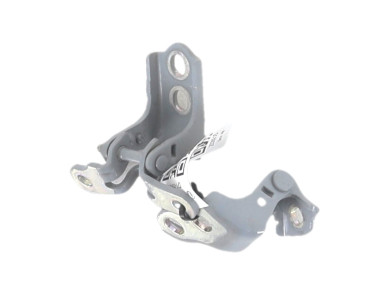 Charnière porte avant gauche occasion - Renault CLIO - 804004475R