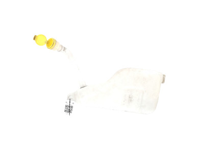 Bocal lave glace - Renault SCENIC III PH.1 - 289104118R - P1-3937J