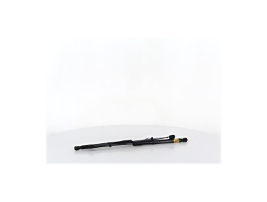 Trunk gas spring (x2) - Volkswagen T-CROSS PH.1 - Noir - 2GM827550A - X1-3660F