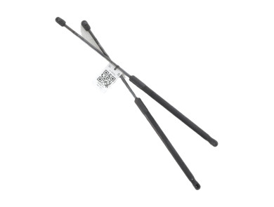 Trunk gas spring (x2) - Dacia SANDERO I - Gris Clair - 8200735264 - L0-3653Q