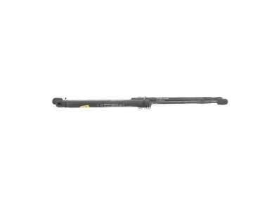 Paire verins coffre hayon malle - Fiat STILO - Bleu Fonce - 0000046784994 - E1-5272Z