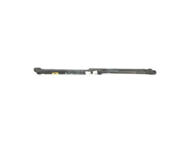 Paire verins coffre hayon malle - Fiat STILO - Bleu Fonce - 0000046784994 - E1-5272Z