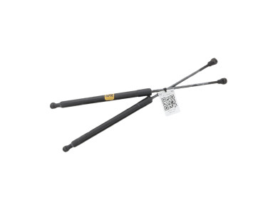 Trunk gas spring (x2) - Renault CLIO IV PH.1 - Gris Clair - 844308661R - P1-1002S