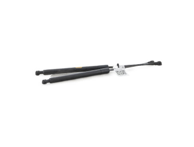 Paire verins coffre hayon malle - Renault CLIO IV PH.1 - Gris Clair - 844308661R - P1-1002S
